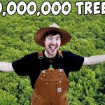 #TeamTrees: як посадити 20 мільйонів дерев для боротьби із зміною клімату